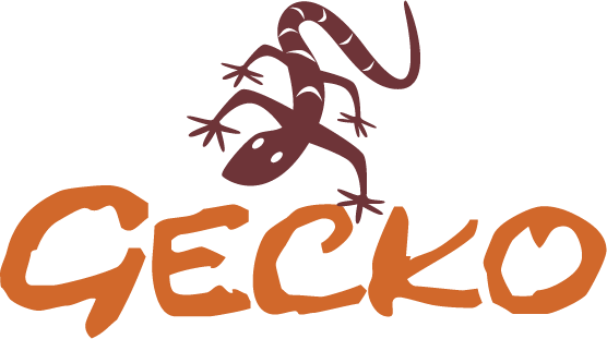 gecko tours packing list
