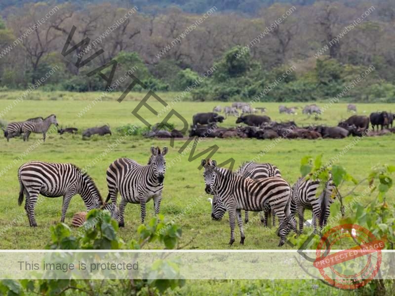 Arusha National Park