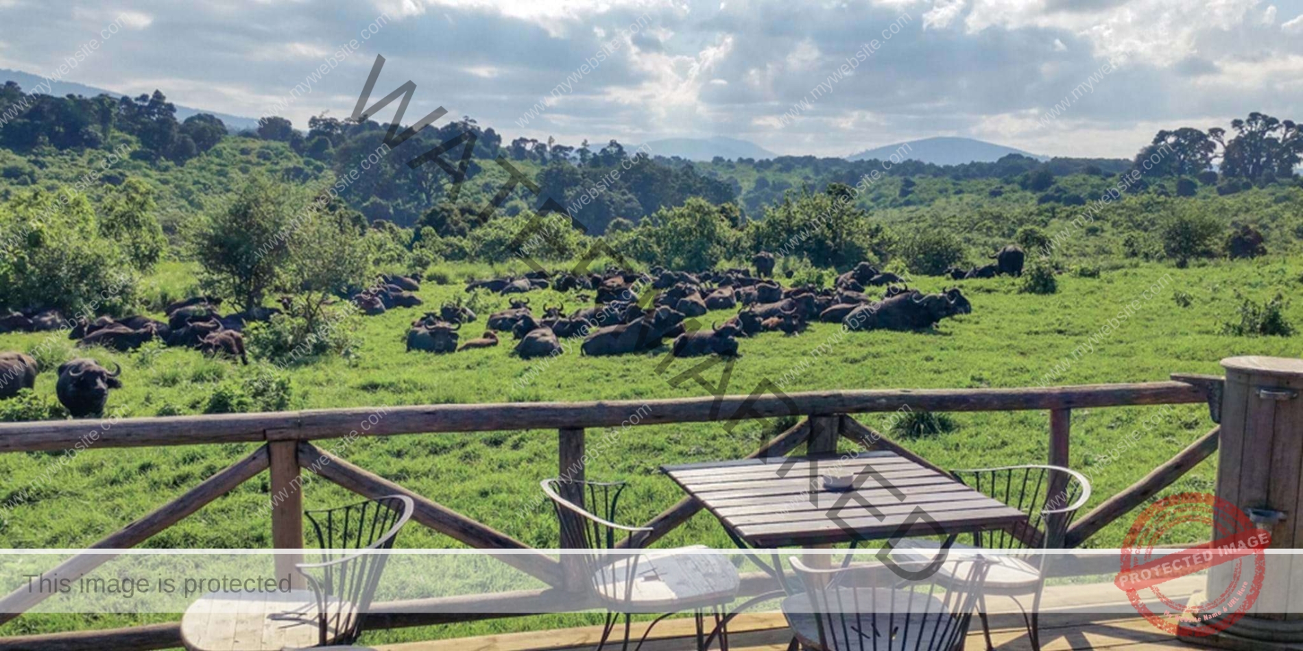 4 Days Ngorongoro Crater and Serengeti