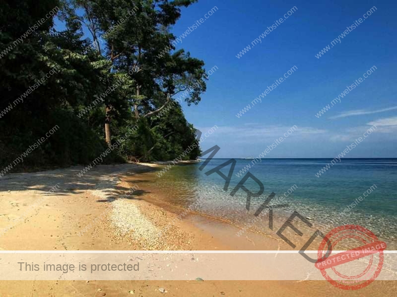 Gombe Stream National Park