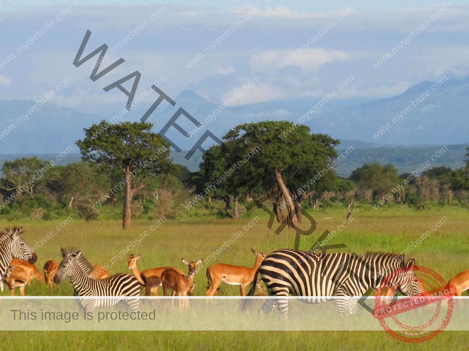 Lake Manyara National Park Day Trip