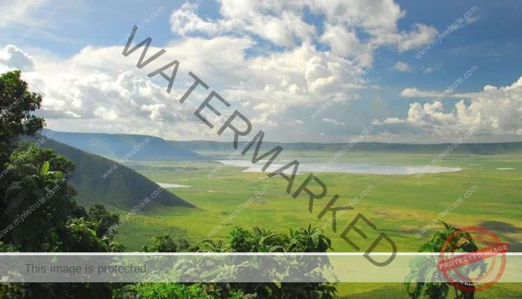 7 Days Serengeti Migration Safari