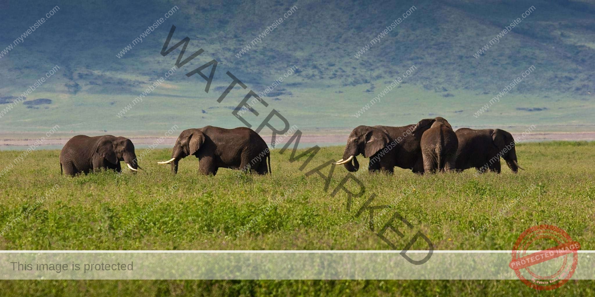 Ngorongoro Crater Day Trip