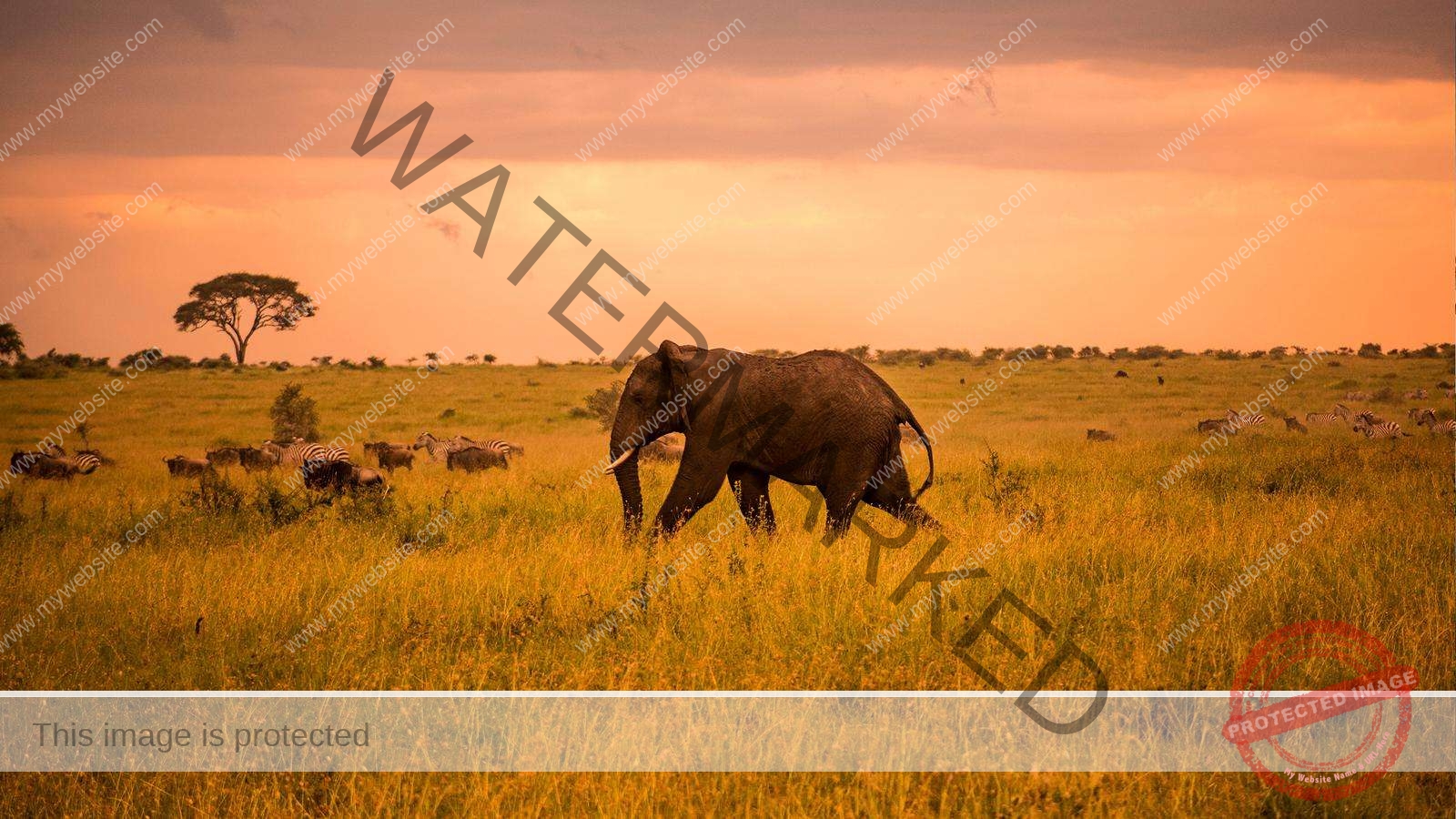 3 Days Serengeti National Park