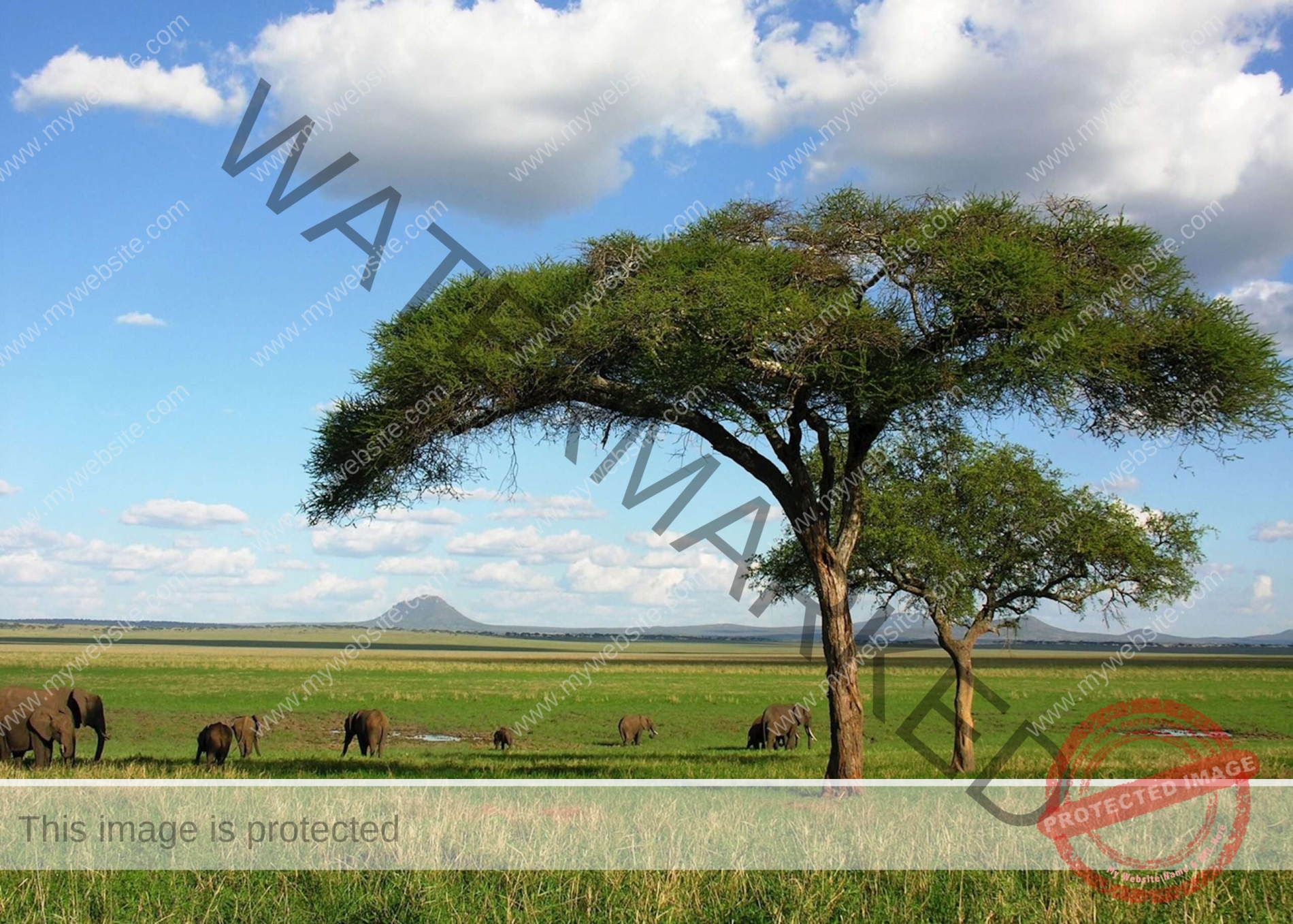 7 Days Serengeti Migration Safari