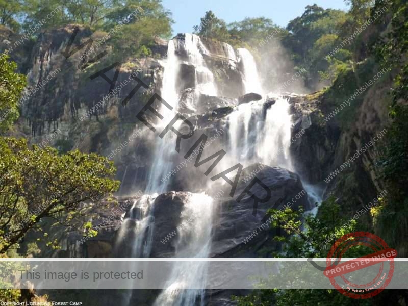 Udzugwa Mountain National Park