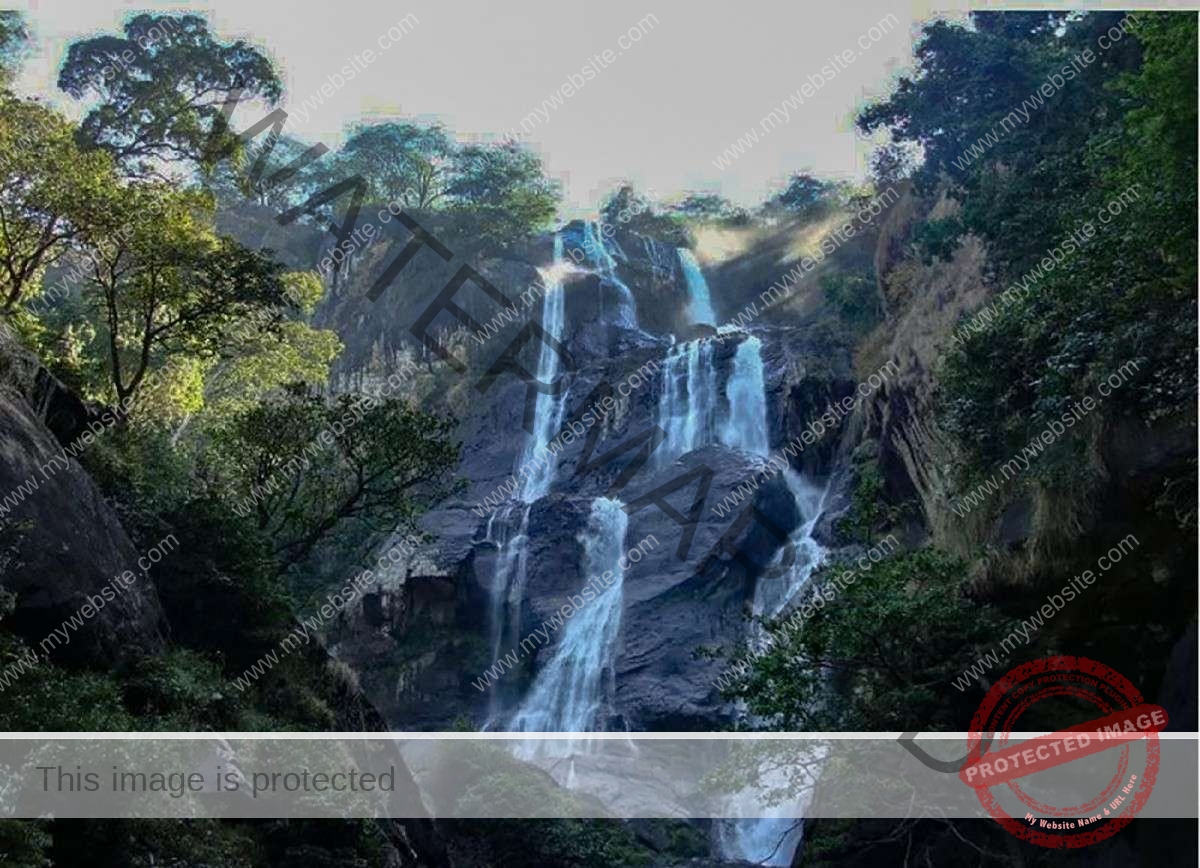 6 Days Selous-Mikumi-Udzungwa