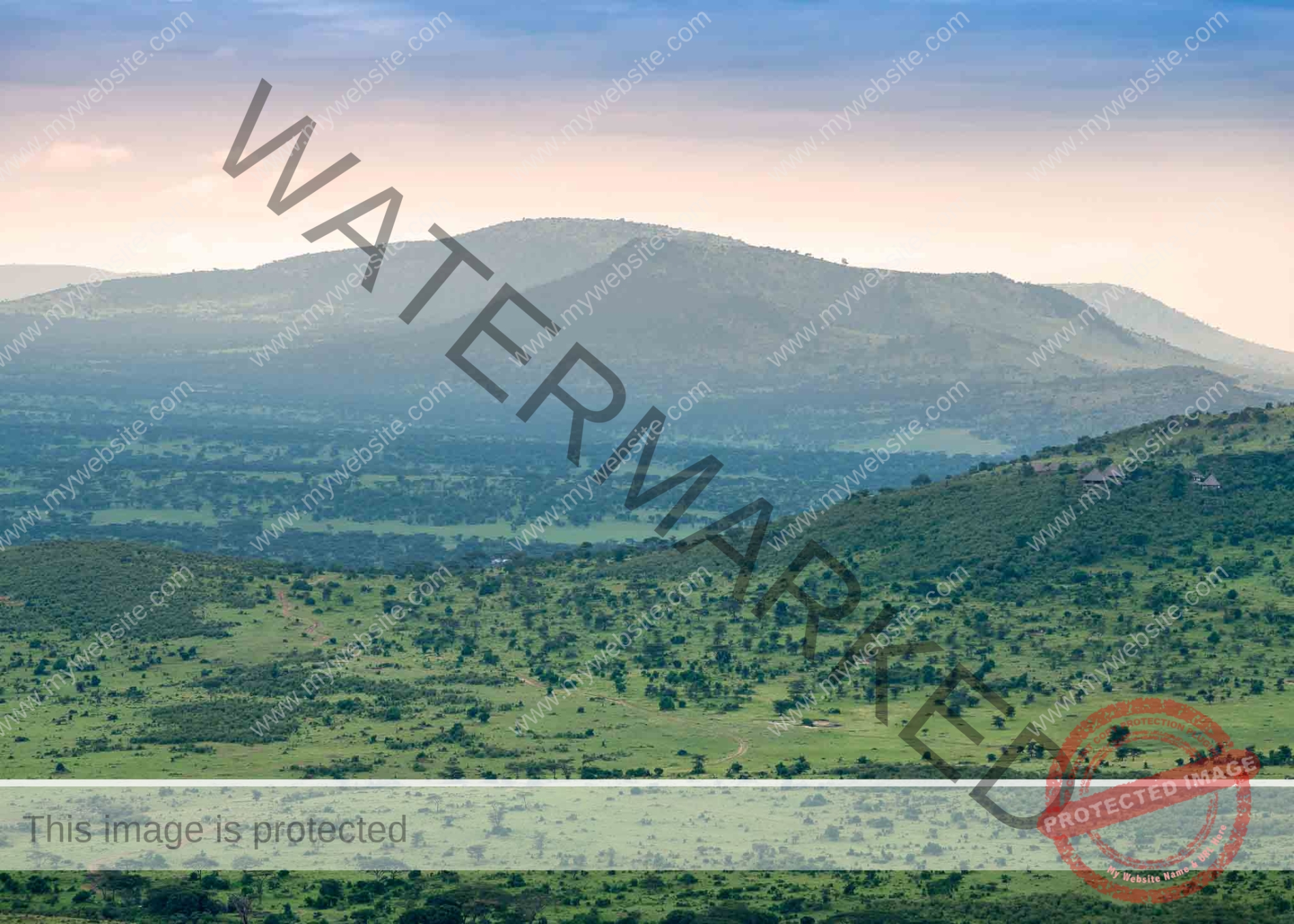 Ngorongoro Crater Day Trip