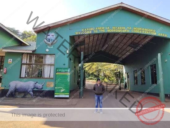 Ngorongoro Crater Day Trip