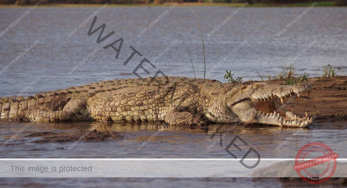 Kigosi National Park