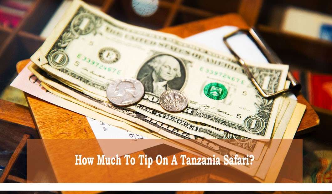 how to tip on a Tanzania Safari