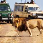 Top Experiences In Tanzania