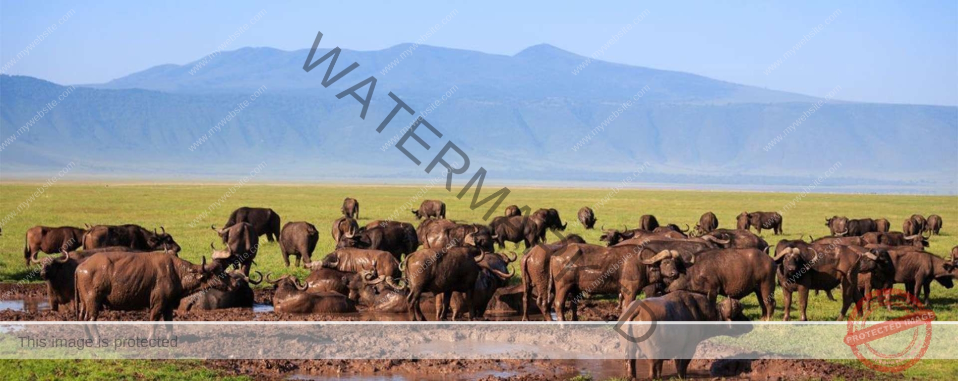 Ngorongoro Conservation Area