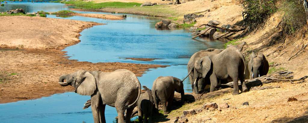 Ruaha National Park