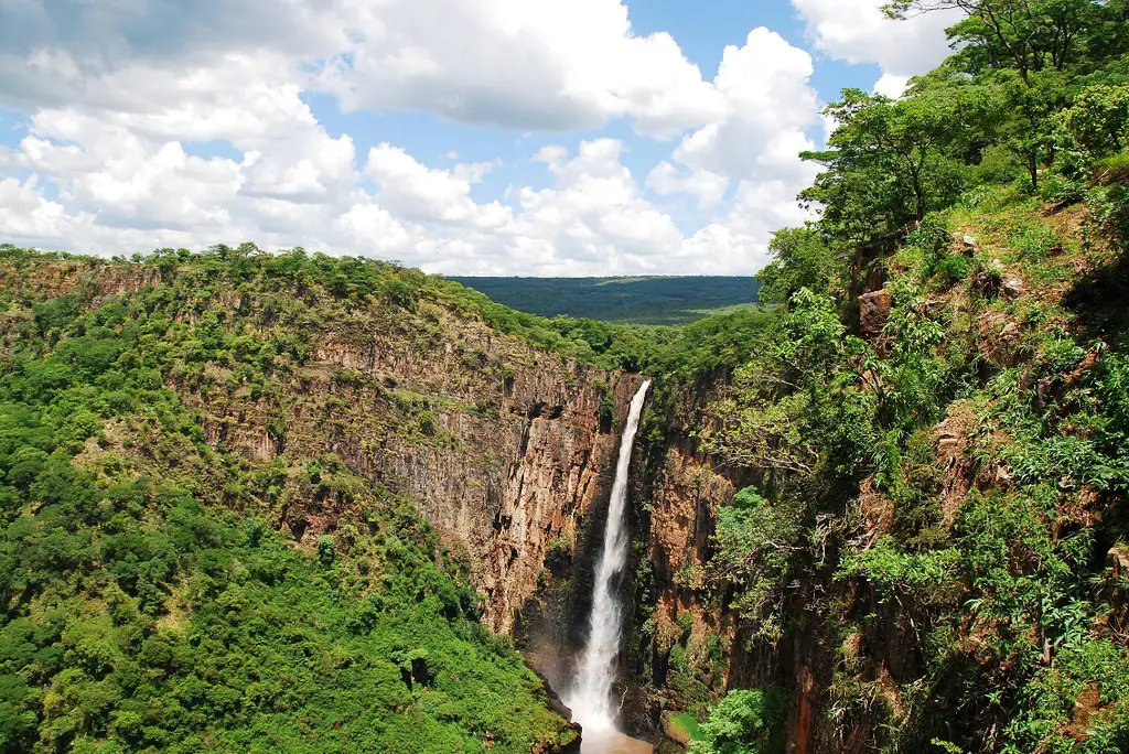 13-day-southern-tanzania-safari-gombe-chimpanzee-tracking-tour11