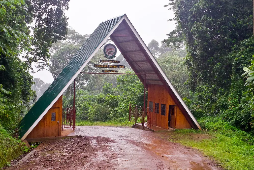 8-day-lemosho-route-kilimanjaro-climb9