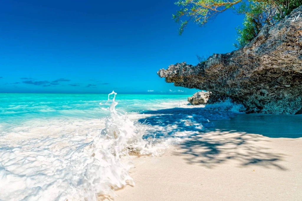 10-days-rubondo-island-national-park-zanzibar-luxury-flying-safari5
