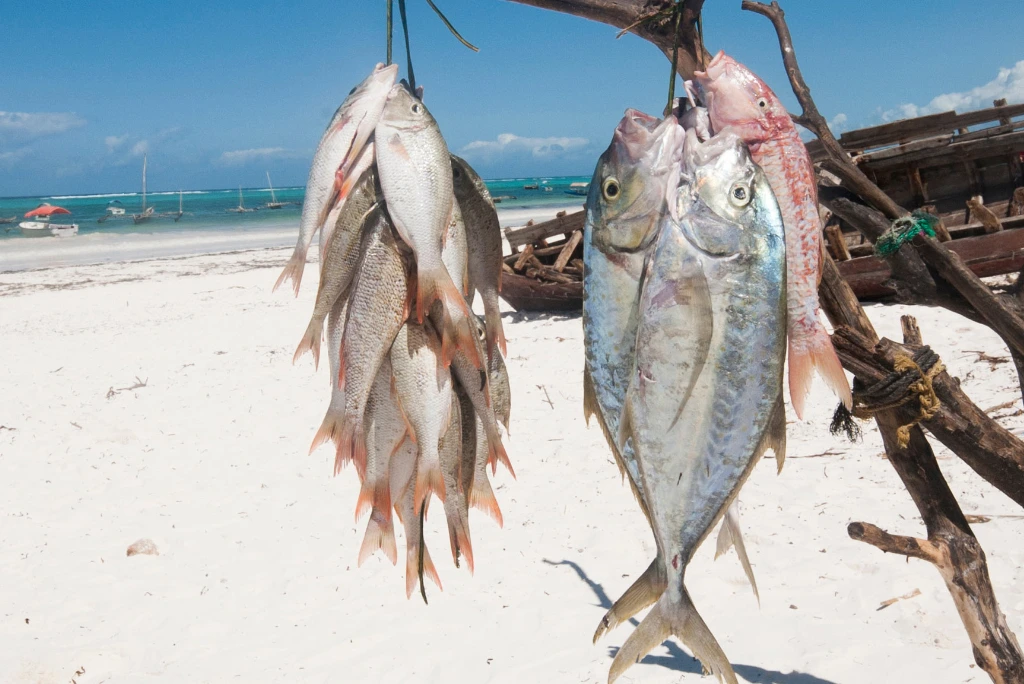 10-days-rubondo-island-national-park-zanzibar-luxury-flying-safari6