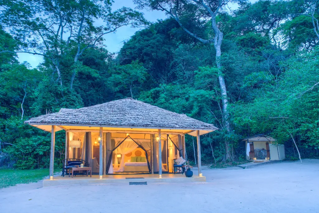 5-days-rubondo-island-national-park-flying-safari