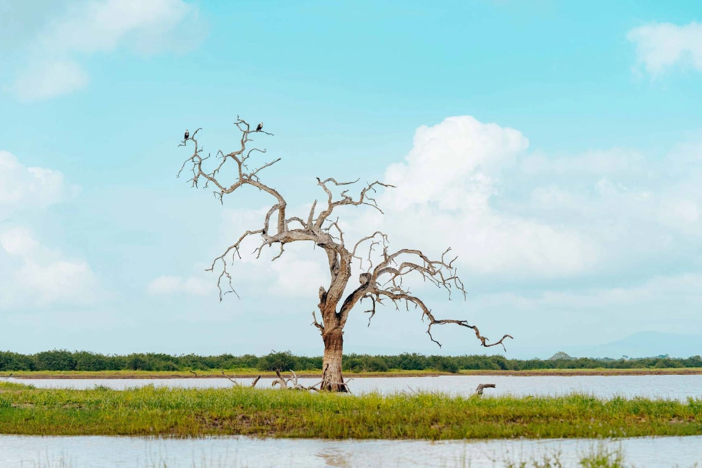 8-days-nyerere-ruaha-national-park-flying-safari3