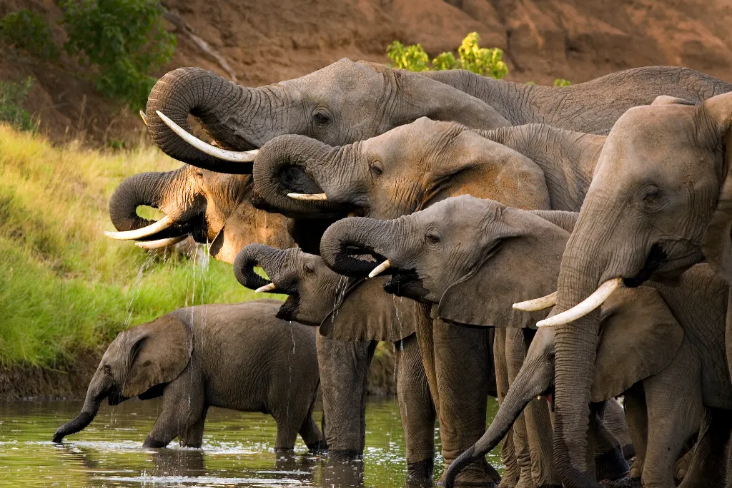 8-days-nyerere-ruaha-national-park-flying-safari4
