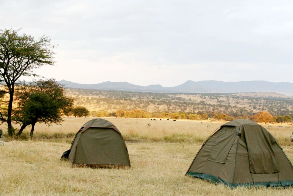 Tanzania Camping Safari