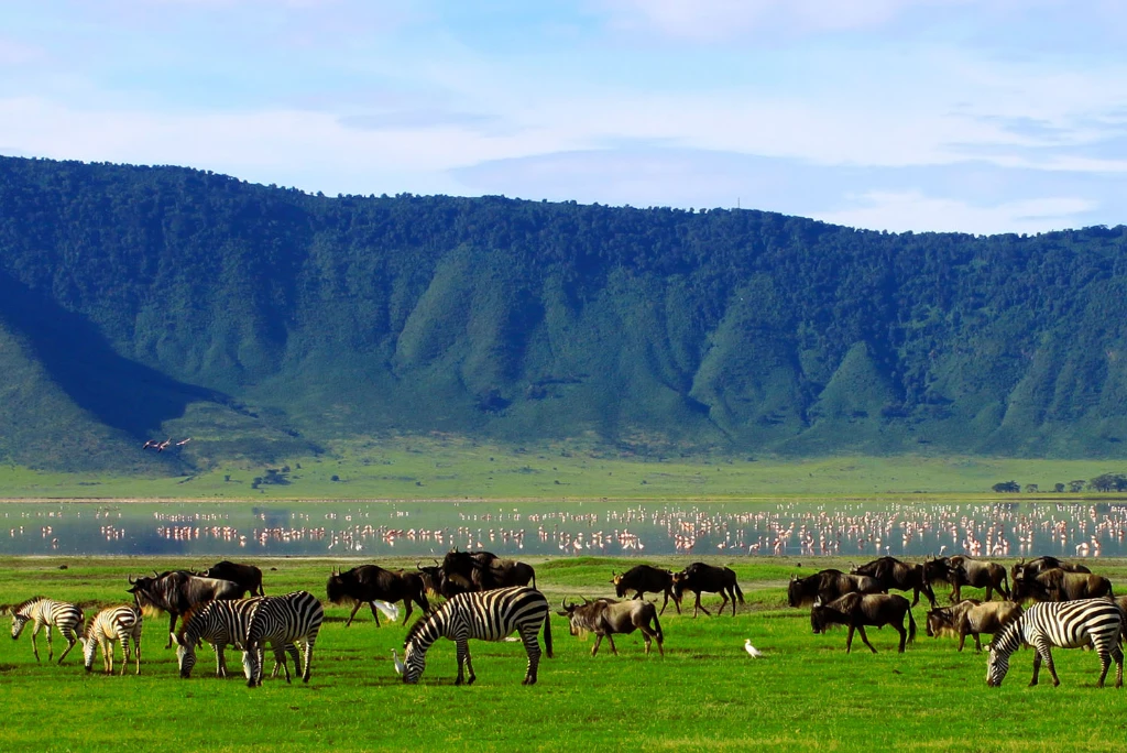 10-days-luxury-tanzania-grand-safari11.webp