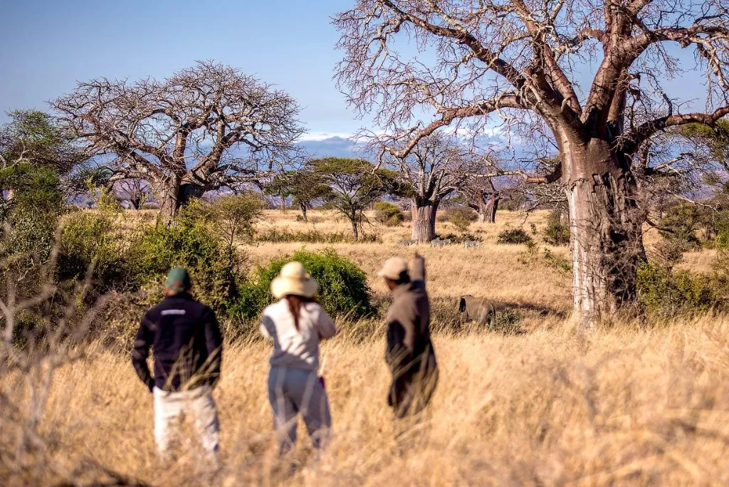 10-days-luxury-tanzania-grand-safari3.webp