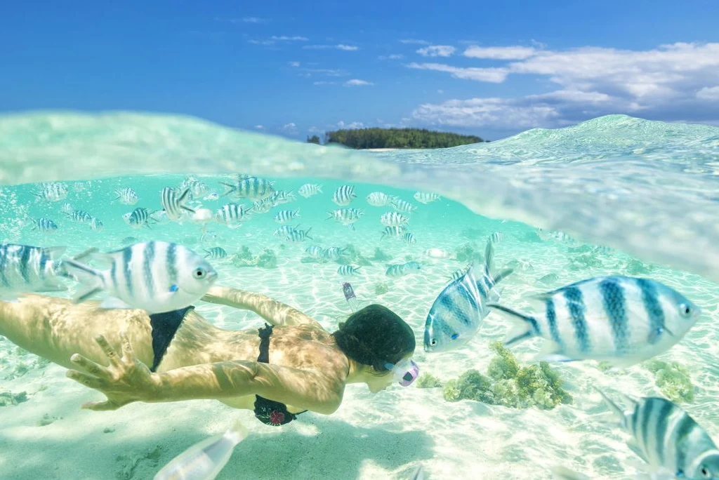 10-days-luxury-tanzania-safari-zanzibar9.webp