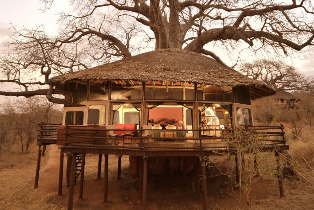 12-days-ultimate-tanzania-luxury-bush-beach-escape2.webp