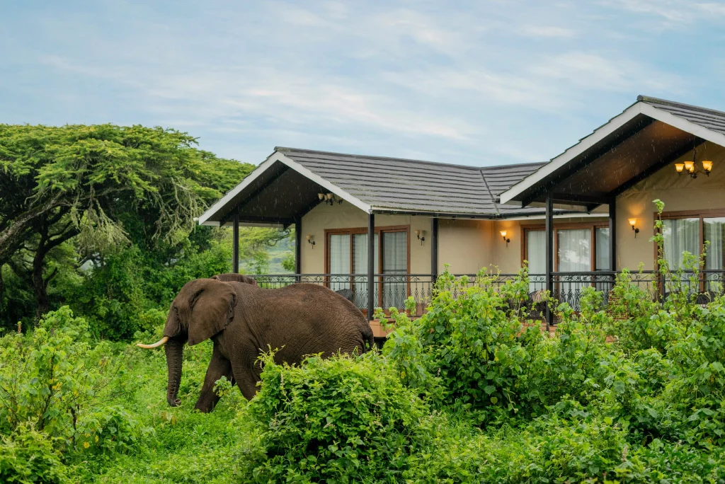 12-days-ultimate-tanzania-luxury-bush-beach-escape5.webp