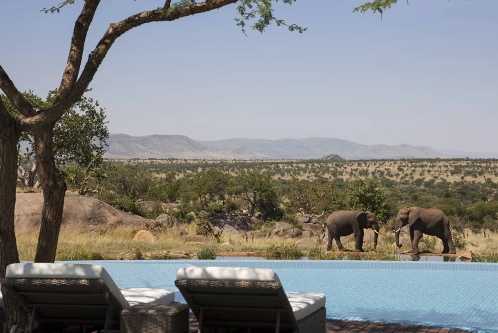 12-days-ultimate-tanzania-luxury-bush-beach-escape7.webp