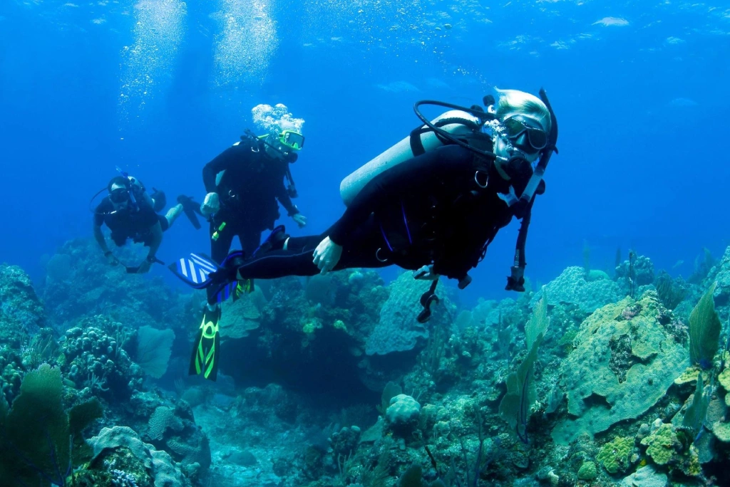 5-days-mafia-island-diving-beach-holiday1.webp
