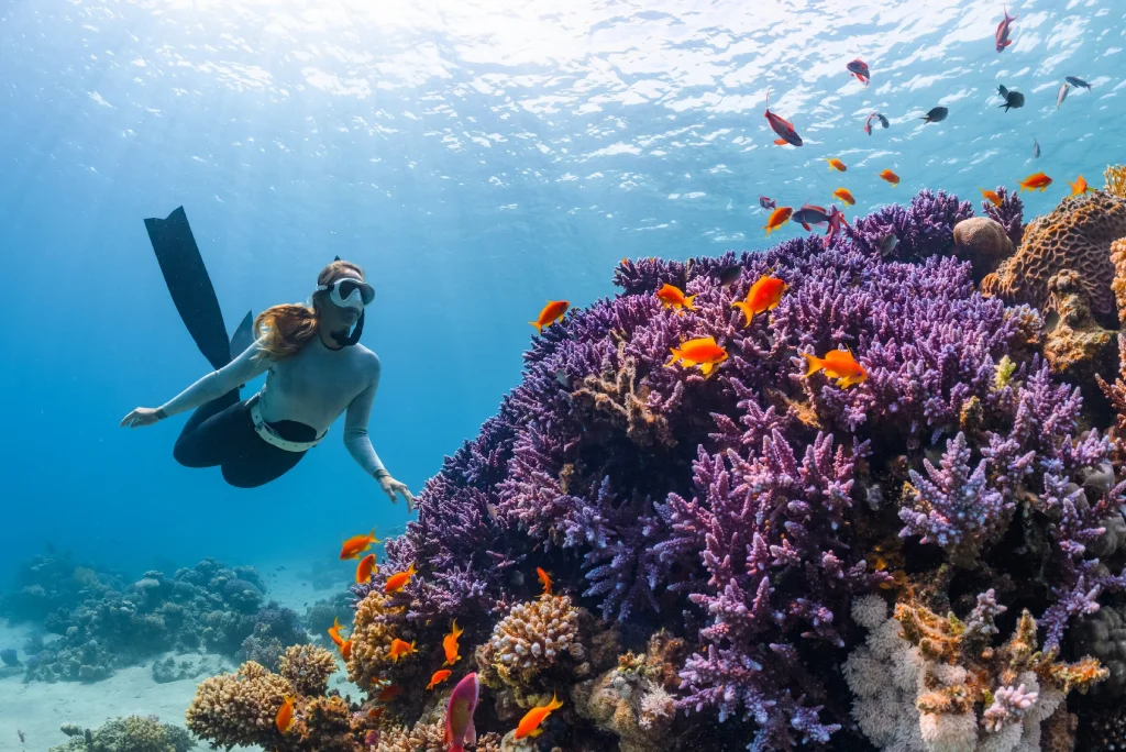 5-days-mafia-island-diving-beach-holiday2.webp