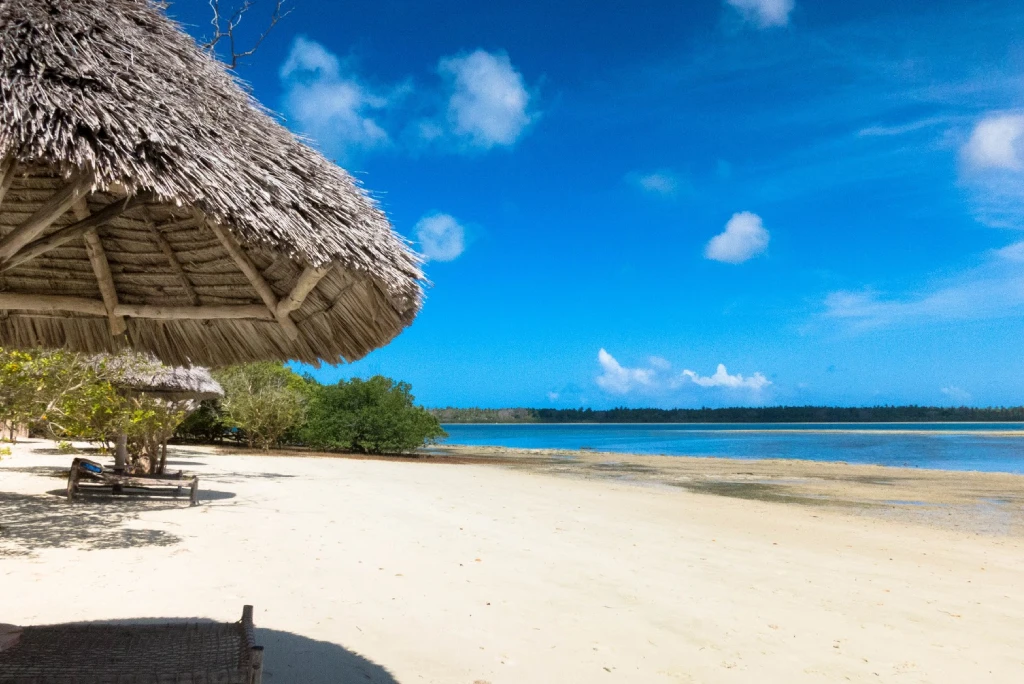 5-days-mafia-island-diving-beach-holiday4.webp