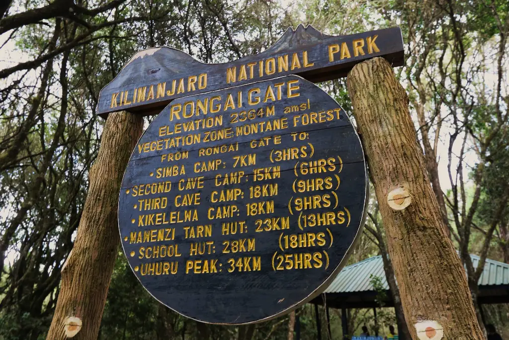 7-days-rongai-route-kilimanjaro-trek-1