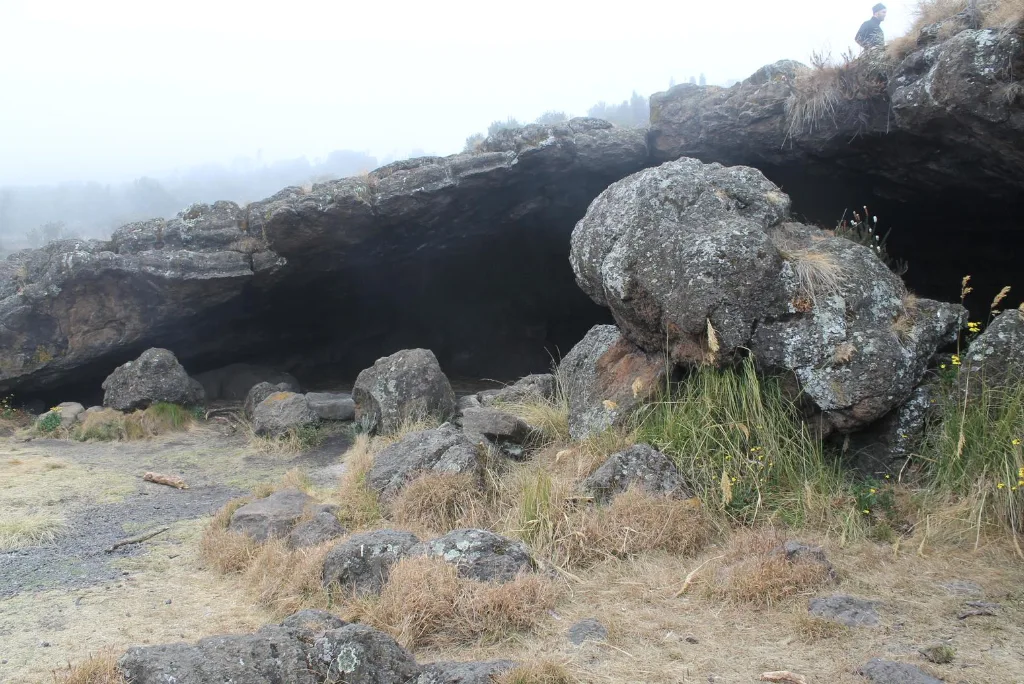 7-days-rongai-route-kilimanjaro-trek-2.webp