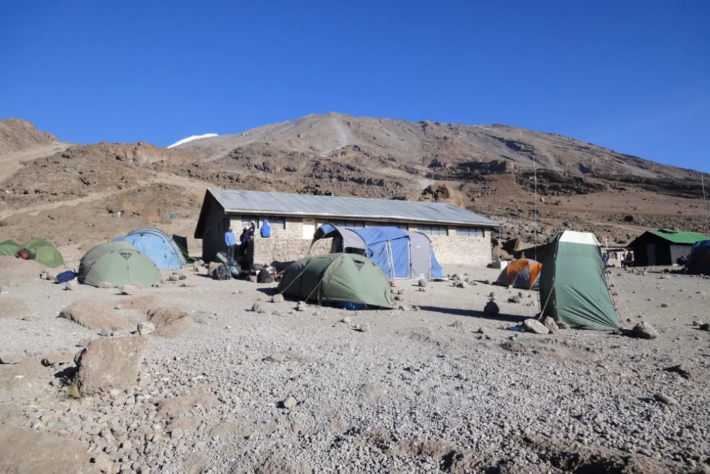 7-days-rongai-route-kilimanjaro-trek-4.webp