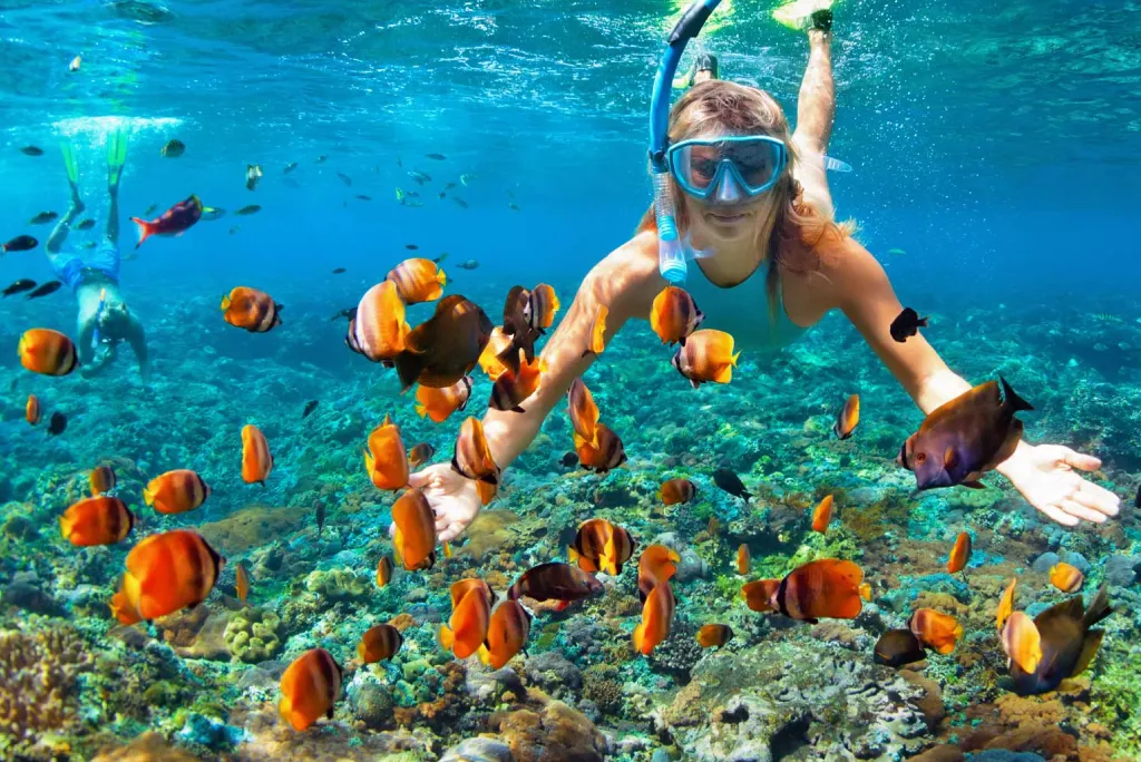 bongoyo-island-marine-escape-from-dar-es-salaam-1.webp