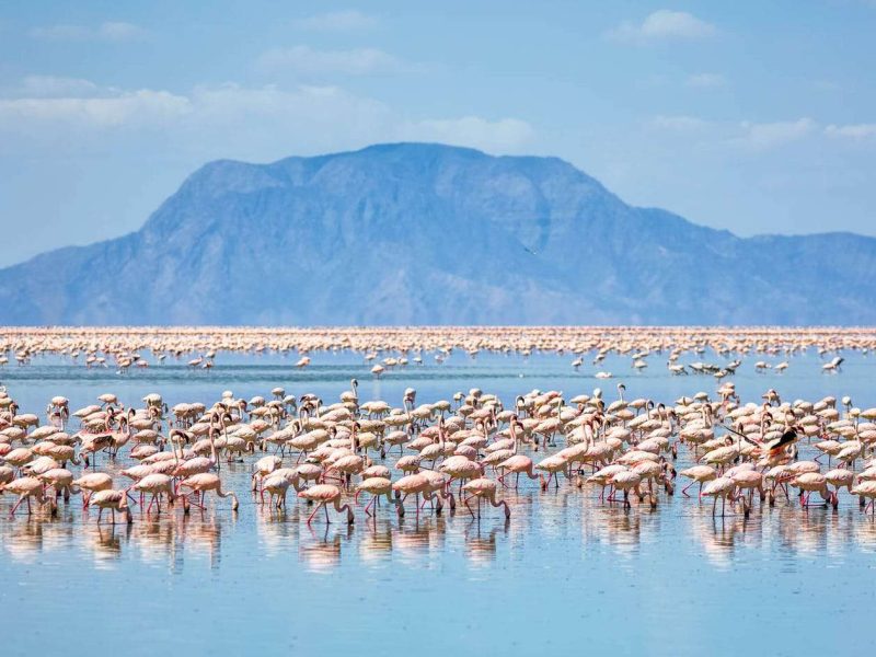 Lake Natron