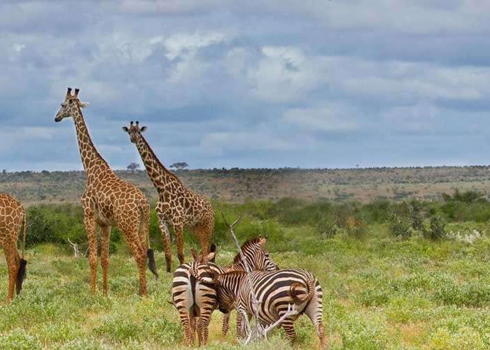 Ibanda-Kyerwa National Park