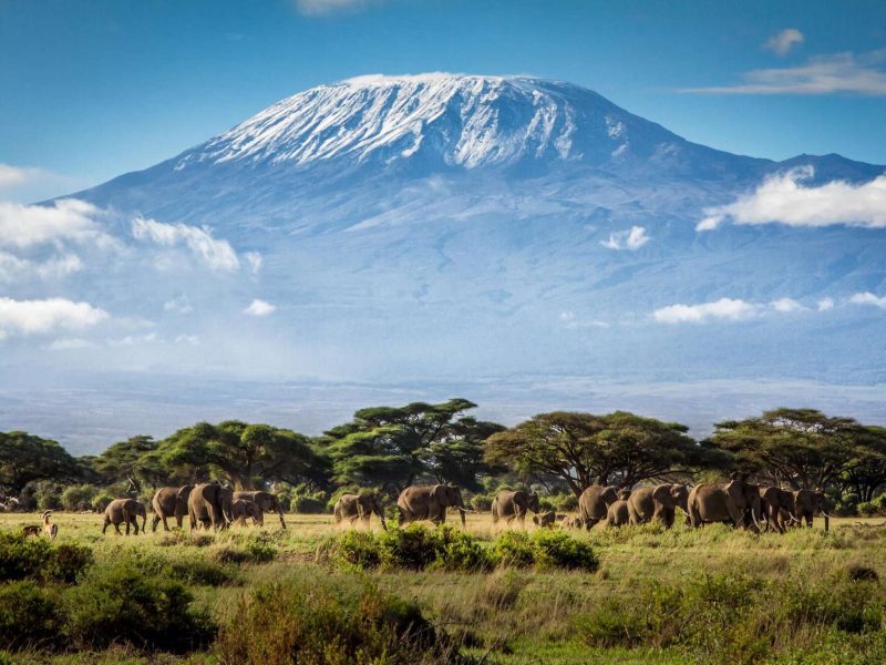 Mount Kilimanjaro National Park