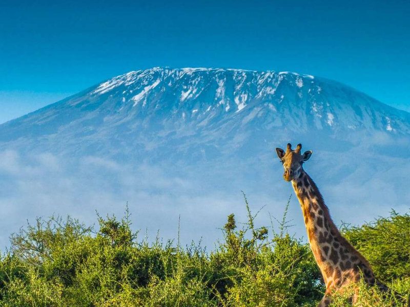 Mount Kilimanjaro National Park