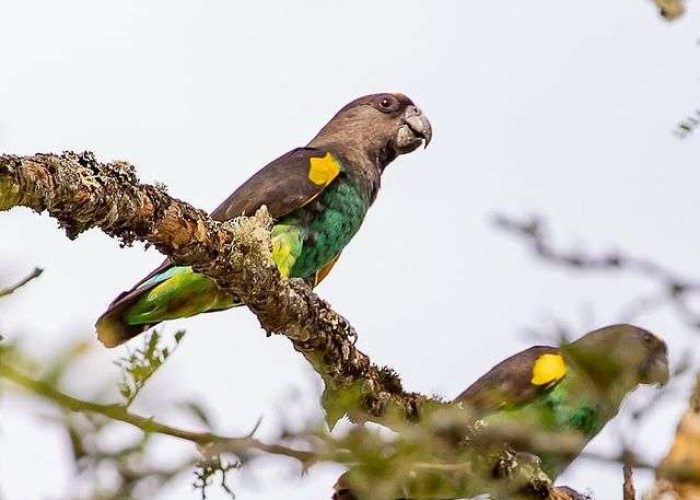 Ibanda-Kyerwa National Park