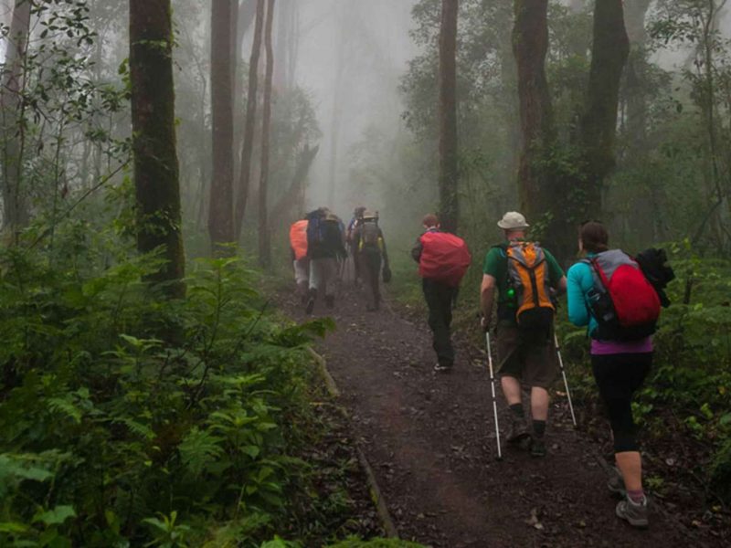 Mount Kilimanjaro National Park