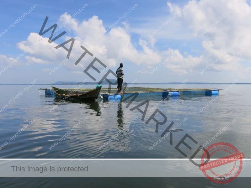 Lake Victoria