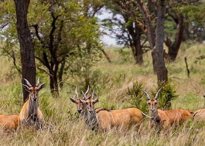 Ibanda-Kyerwa National Park