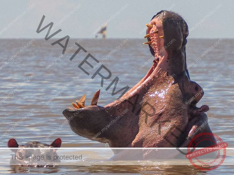 Lake Victoria