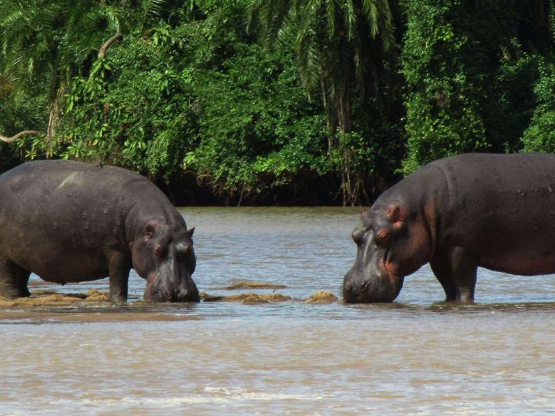 Saa Nane Island National Park