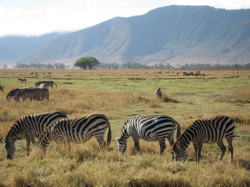 Lake Natron